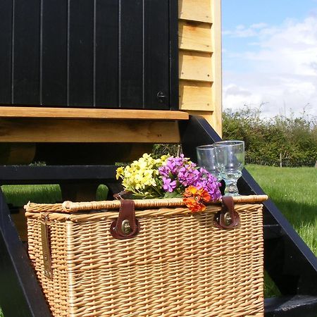Marshwood Farm B&B And Shepherds Hut Dinton  Exterior photo