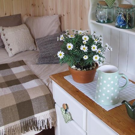 Marshwood Farm B&B And Shepherds Hut Dinton  Exterior photo