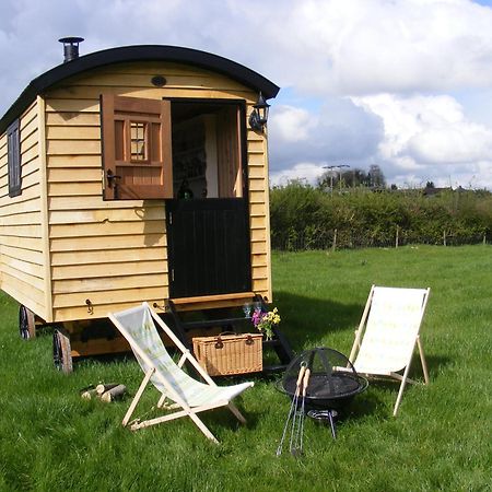 Marshwood Farm B&B And Shepherds Hut Dinton  Exterior photo