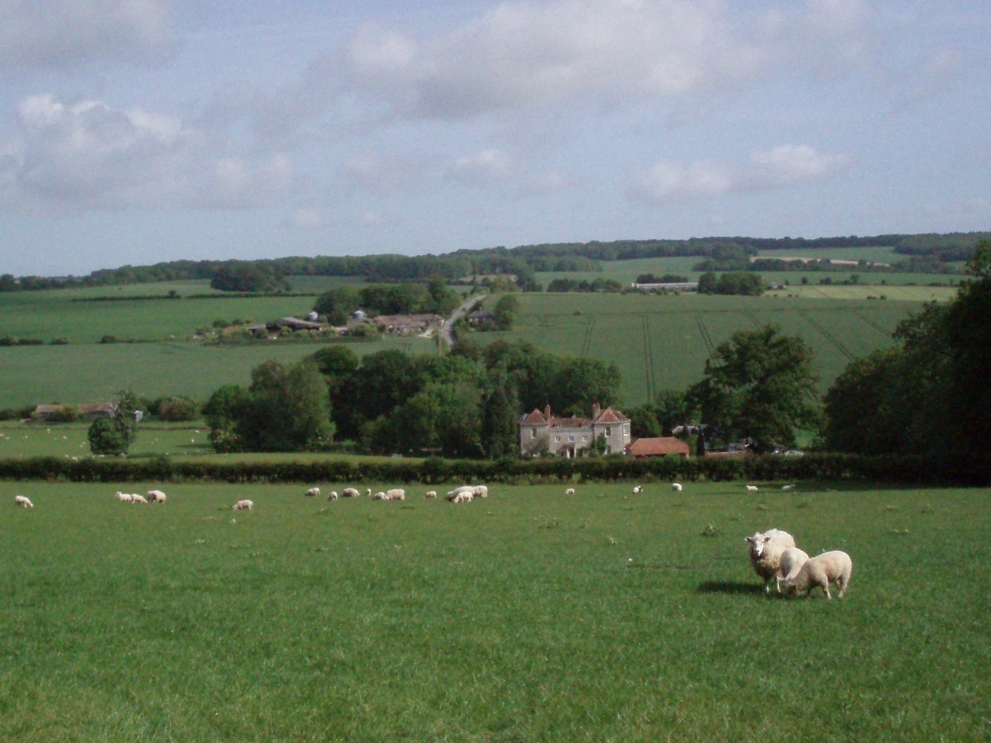 Marshwood Farm B&B And Shepherds Hut Dinton  Exterior photo